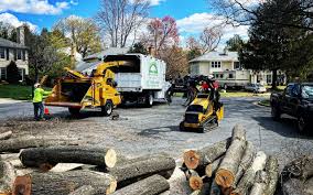 Tree Removal and Landscaping Services